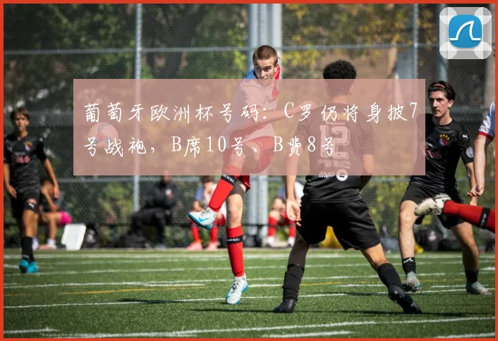 葡萄牙欧洲杯号码：C罗仍将身披7号战袍，B席10号、B费8号